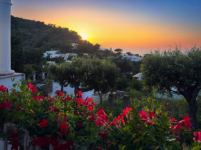 Villa Domenicanda Capri